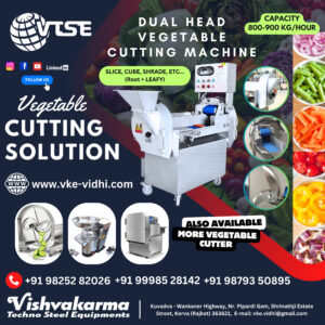 vtse multifunctional vegetable cutting machine dual head